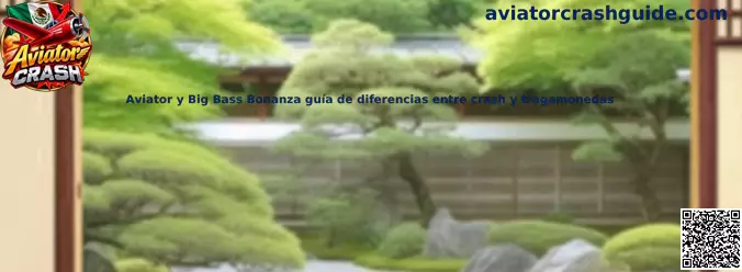 Comparación visual entre Aviator Crash y Big Bass Bonanza, dos juegos con mecánicas diferentes