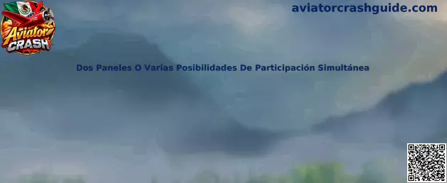 Dos paneles o varias posibilidades de participación simultánea en Aviator Crash