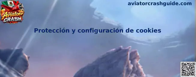Protección y configuración de cookies en Aviator Crash