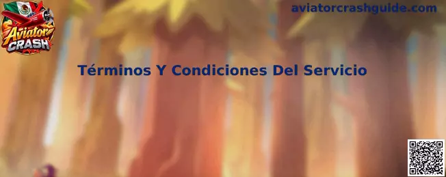 Información sobre términos y condiciones del servicio de Aviator Crash